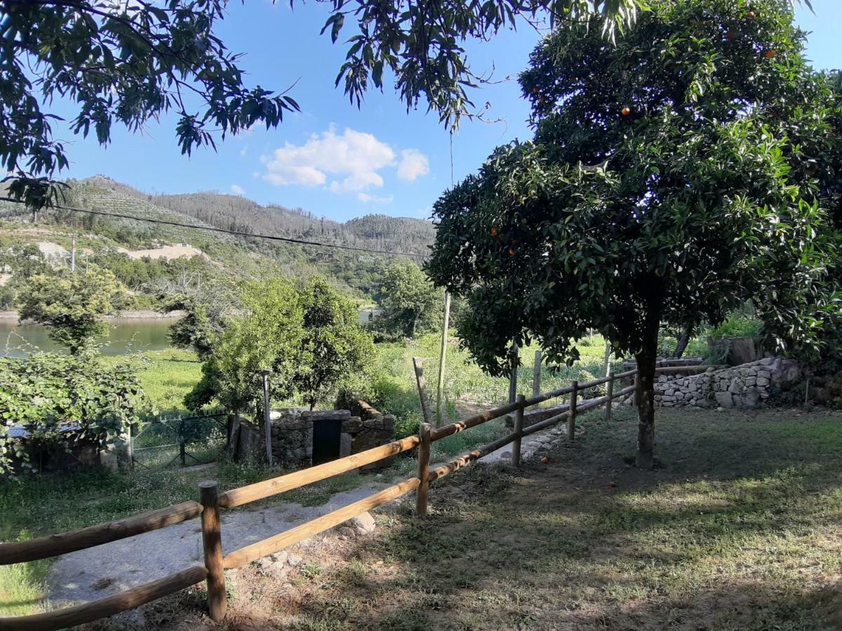 River House Sejães Oliveira de Frades Exterior foto